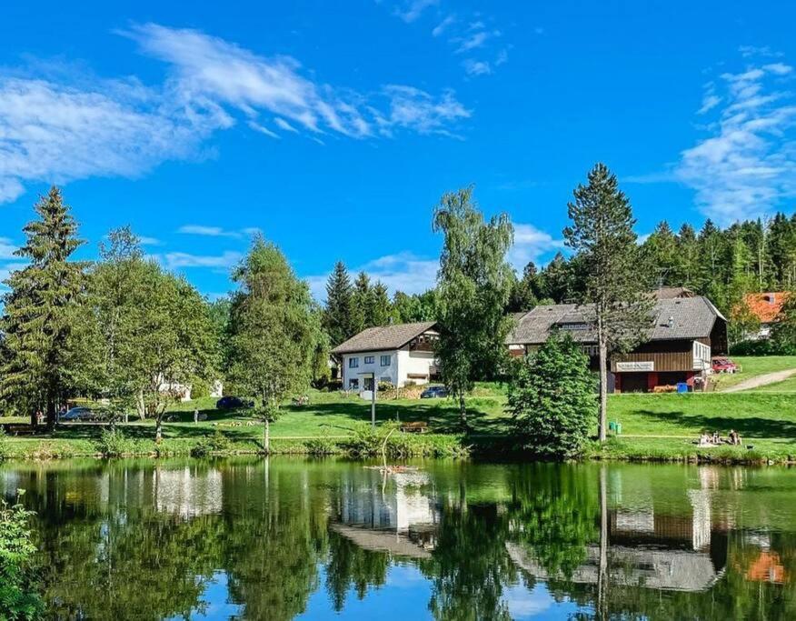 Ferienwohnung "Am Skilift" Herrischried Εξωτερικό φωτογραφία