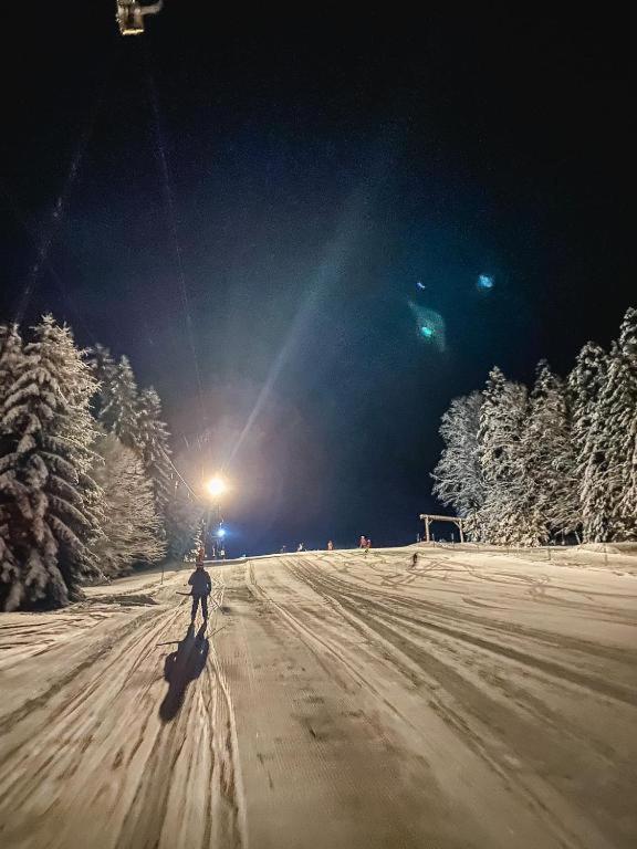 Ferienwohnung "Am Skilift" Herrischried Εξωτερικό φωτογραφία