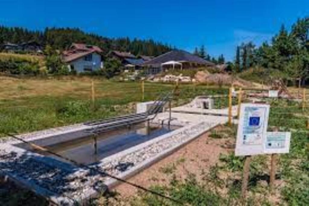 Ferienwohnung "Am Skilift" Herrischried Εξωτερικό φωτογραφία