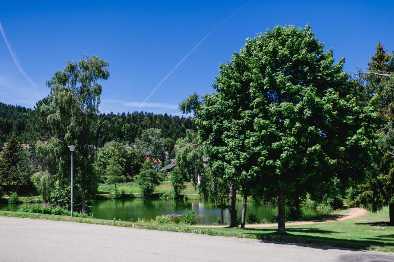 Ferienwohnung "Am Skilift" Herrischried Εξωτερικό φωτογραφία