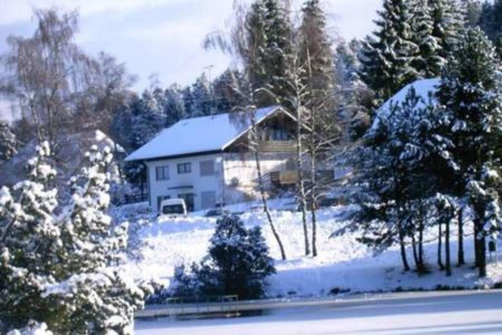 Ferienwohnung "Am Skilift" Herrischried Εξωτερικό φωτογραφία