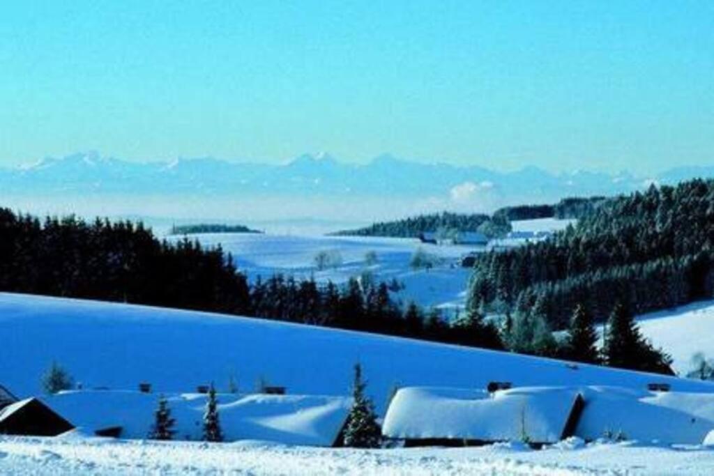 Ferienwohnung "Am Skilift" Herrischried Εξωτερικό φωτογραφία