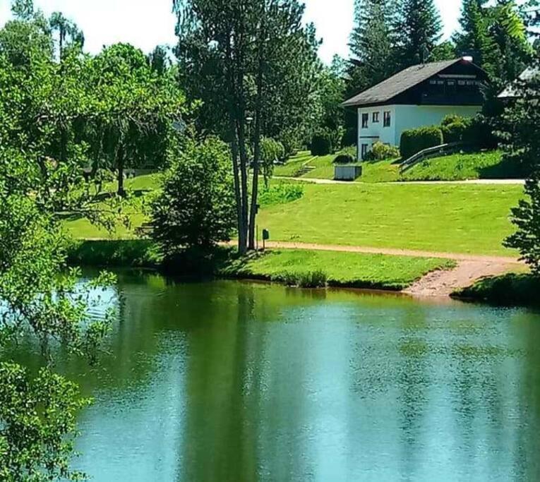Ferienwohnung "Am Skilift" Herrischried Εξωτερικό φωτογραφία